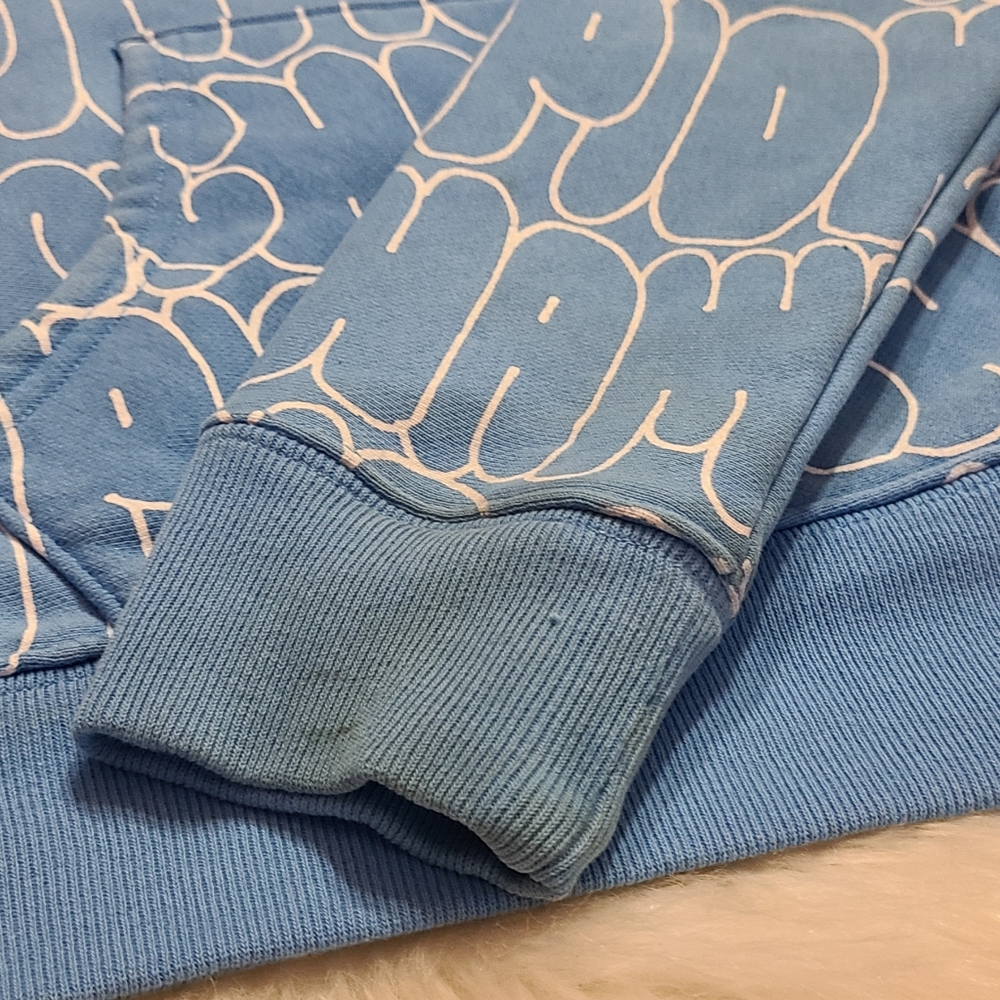 Champion Reverse Weave Hoodie - Picture 10 of 10